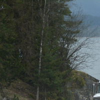 truck driver portrait